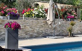 Studios indépendants VILLA EDEN terrasse jardin piscine